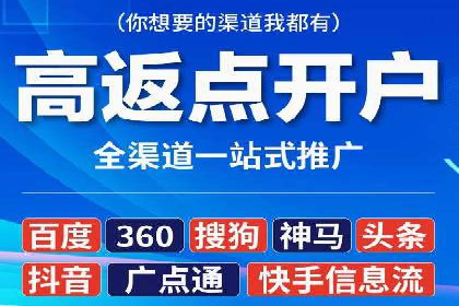 某公司如何利用SEO和SEM提升线上业务——真实案例分析